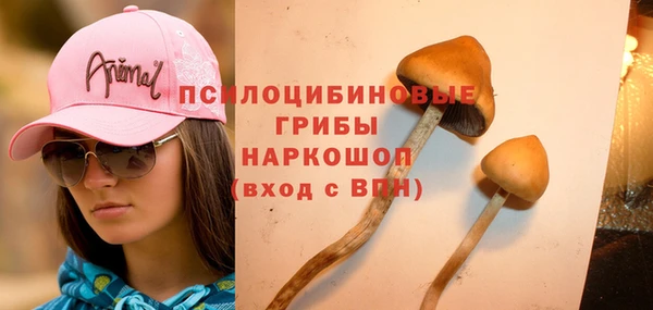 стаф Алексеевка