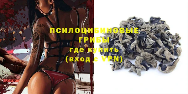 стаф Алексеевка