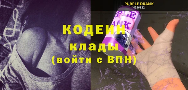 прущий лед Алзамай