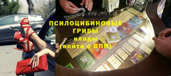 прущий лед Алзамай