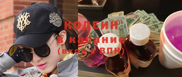 прущий лед Алзамай