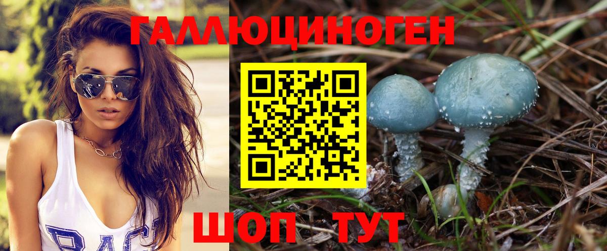 Псилоцибиновые грибы Psilocybine cubensis Жуковский
