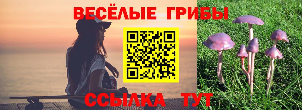 Псилоцибиновые грибы Psilocybine cubensis  Вход с VPN  Жуковский 